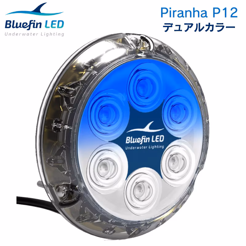 BlueFin LED